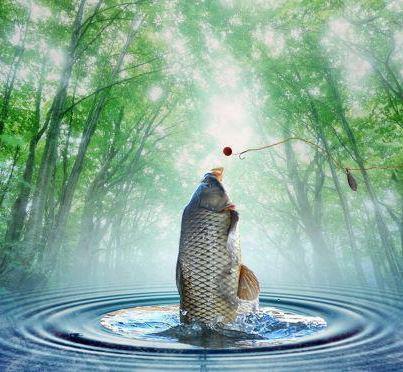 Crap de sete!!! :)  - 6563210200574888526766736868209n.jpg